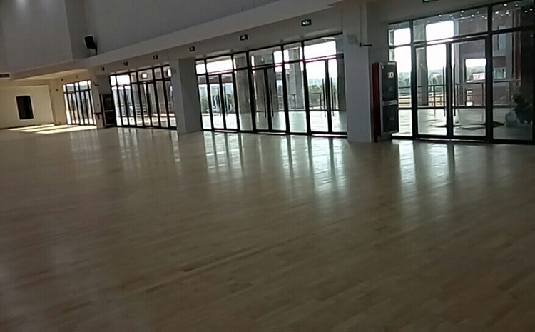 海南運(yùn)動(dòng)木地板廠商