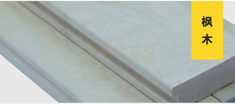 體育館運動木地板招標文件（運動木地板招標）