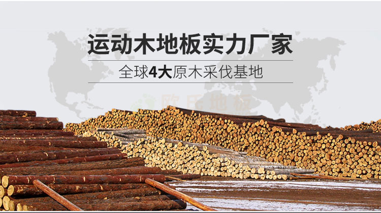 體育館運動木地板招標文件（運動木地板招標）