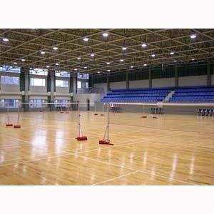 運動木地板 運動木地板