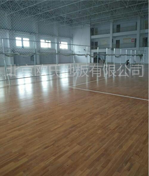 邢臺帥博體育體育館木地板案例圖1 邢臺帥博體育體育館木地板案例圖1