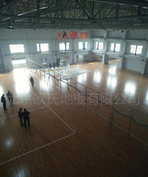 邢臺帥博體育體育館木地板案例圖2 邢臺帥博體育體育館木地板案例圖2