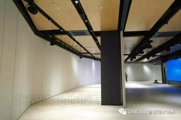 韓國大使館文化院多功能廳實木運動地板成功案例圖3 韓國大使館文化院多功能廳實木運動地板成功案例圖3