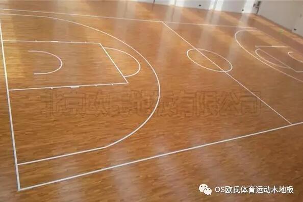 云南富寧縣高原體能訓練館成功案例-3 云南富寧縣高原體能訓練館成功案例-3