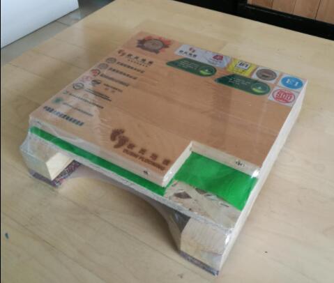 歐氏單層龍骨運(yùn)動(dòng)木地板結(jié)構(gòu) 歐氏單層龍骨運(yùn)動(dòng)木地板結(jié)構(gòu)