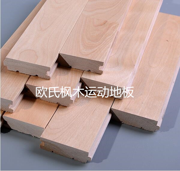 歐氏楓木運動地板 歐氏楓木運動地板