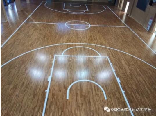 江蘇昆山兵希小學體育館木地板成功案例 江蘇昆山兵希小學體育館木地板成功案例