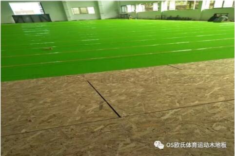 廣東YBDL江門 HOOP PARK籃球公園成功案例 廣東YBDL江門 HOOP PARK籃球公園成功案例