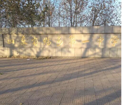 山東德州臨邑**中學體育館木地板成功案例 山東德州臨邑**中學體育館木地板成功案例