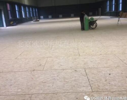 南京體育學院羽毛球館木地板成功案例 南京體育學院羽毛球館木地板成功案例