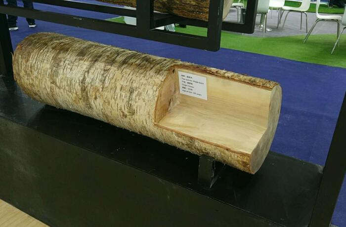 第20屆中國**地面材料及鋪裝技術展覽會順利開幕