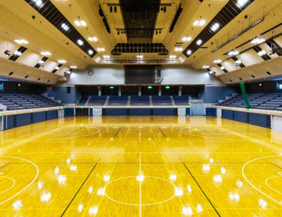 體育館和武術館的維護和保養