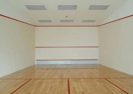  建個壁球館的價格是多少？