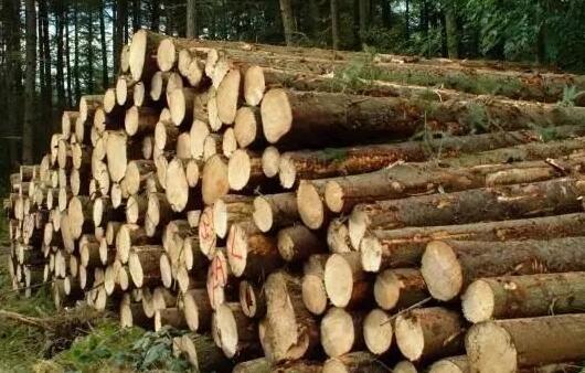 季節的濕度變化是如何影響木材的