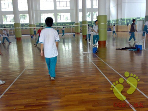 運動木地板 運動木地板