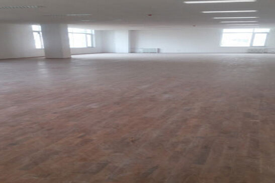 運動木地板 運動木地板