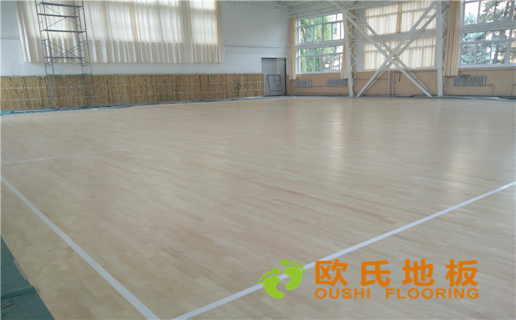 內(nèi)蒙古呼和浩特賽罕區(qū)師范大學(xué)體育學(xué)院訓(xùn)練館運(yùn)動木地板案例-歐氏運(yùn)動木地板