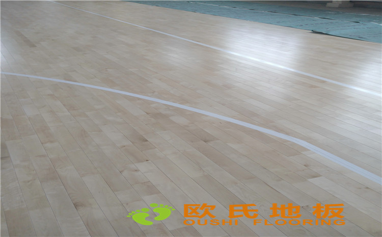 內(nèi)蒙古呼和浩特賽罕區(qū)師范大學(xué)體育學(xué)院訓(xùn)練館運(yùn)動木地板案例-歐氏運(yùn)動木地板